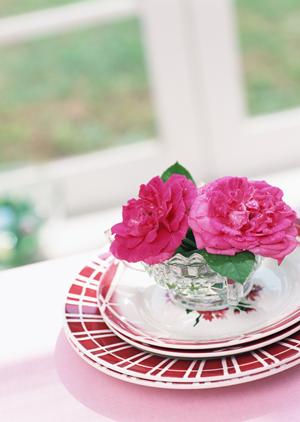 福岡のトコジラミ駆除完全ガイド2025：効果的な対策と最新の駆除方法